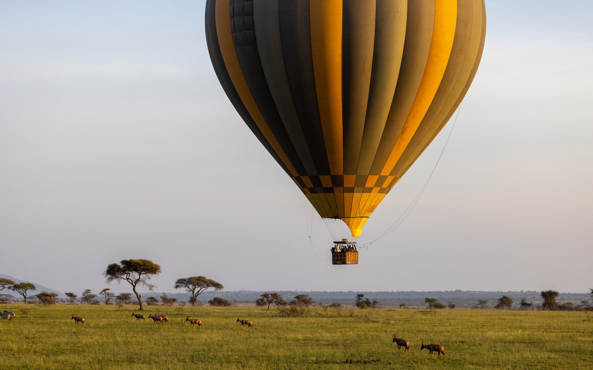 balloon safaris tanzania