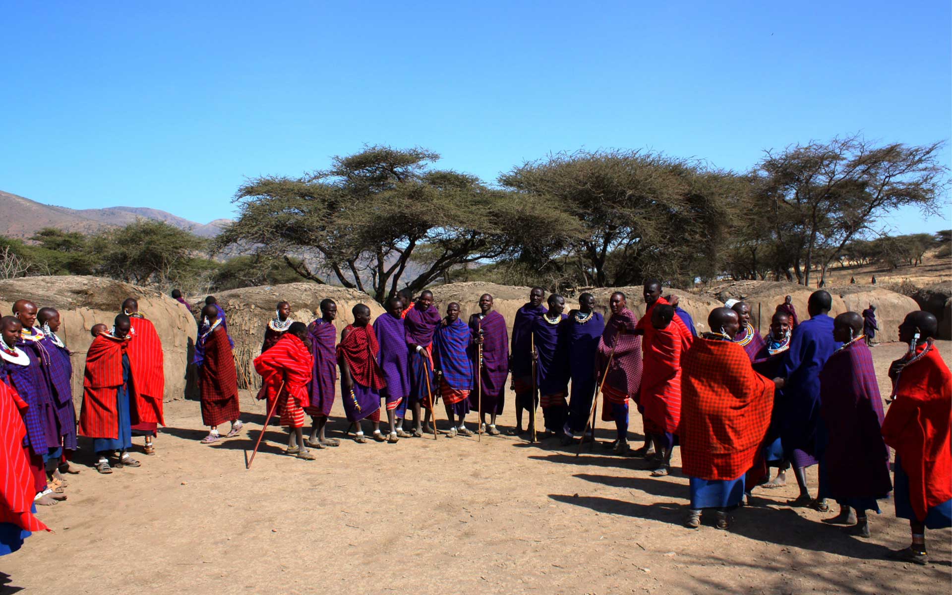 Maasai Village Clan Brilliant Safaris Tanzania